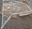 1723295 Us Marine Side Curtains 62896 For A 96 Bayliner 2052fv Trophy