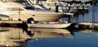 1965dlx Carolina Skiff Merc And Loadrite Trlr With Trailer Accessories