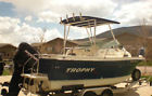 Dolphin Top Walk Around Boat Potoon Bimini Wakeboard Tower