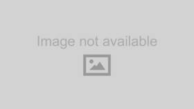 799320 Dorman Gr5 Standard Hardware Vp - Durable Fasteners For Repairs