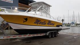 Plcvd035k901 Proline Boat Pro-line 30 Walkaround 2001