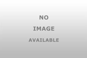 100402 Taylor Made Products Dot Fastener Male On Wood Screw