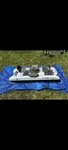 Pelican Bass Raider 10E. Fixed Price $1250.00.