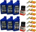 Yamaha 2003-09 SX230 AR230 SR230 232 Limited 23' Jet Boat Oil Change Kit + Plugs. Fixed Price $129.90.