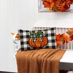 Rabusofa Outdoor Fall Pumpkin Pillow Cover Waterproof 12X20 (pack 1), Orange. Fixed Price $14.95.
