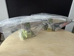 Independent Tony Hawk Transmission 144 Stage 11 Forged Hollow Trucks. Fixed Price $82.50.