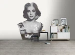 3D Elizabeth Taylor O04 Wallpaper Mural Self-adhesive Marco Cavazzana Zoe. Fixed Price $225.28.