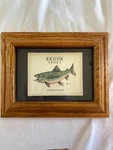 Framed Art Brook Trout Nice Oak W/ Hanger Fisherman Great Gift. Fixed Price $22.00.