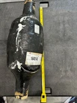 #1640149 Centek Wet Exhaust Muffler, Fiberglass, Never Used. Need Paint Maybe. Fixed Price $175.00.