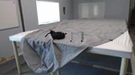 Tracker Targa 18 Console Cover (2003) Grey Dowco 67560 - Boat. Fixed Price $159.98.