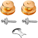 Loxx Strap Lock Set Gold. Fixed Price $24.99.