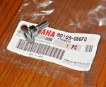 Atv, Snowmobile, Motorcycle, Watercraft Engine Valve Cover Bolt 90109-066F0-00. Fixed Price $13.99.